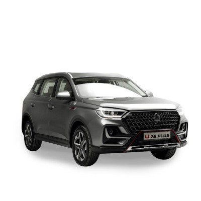 VGV Sinotruck U75 Plus 2024